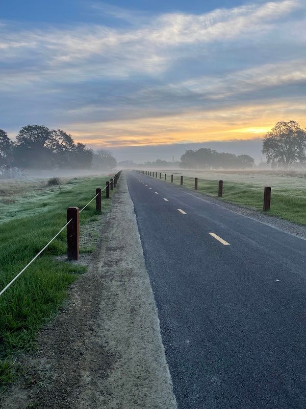 A foggy trail with trees in the distance